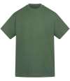 AM018 Anthem Amplify Heavyweight T-Shirt Green Mist colour image